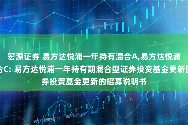 宏源证券 易方达悦浦一年持有混合A,易方达悦浦一年持有混合C: 易方达悦浦一年持有期混合型证券投资基金更新的招募说明书