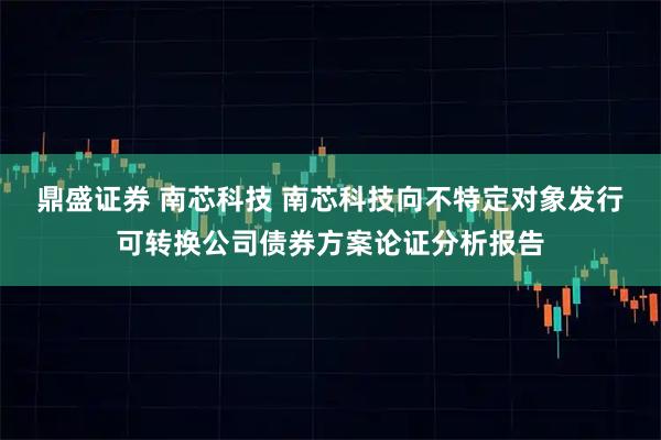 鼎盛证券 南芯科技 南芯科技向不特定对象发行可转换公司债券方案论证分析报告